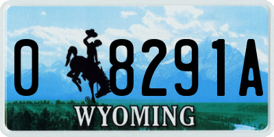 WY license plate 08291A