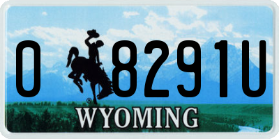 WY license plate 08291U