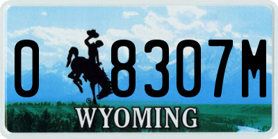 WY license plate 08307M