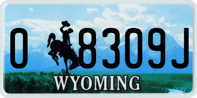 WY license plate 08309J