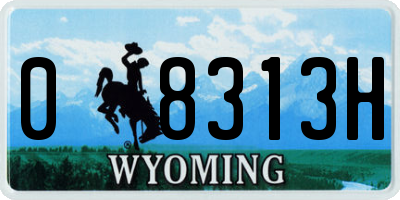 WY license plate 08313H