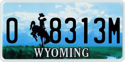 WY license plate 08313M