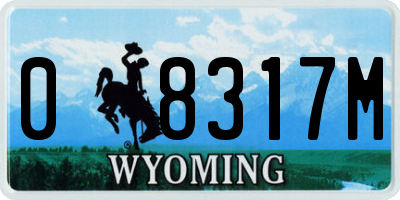 WY license plate 08317M