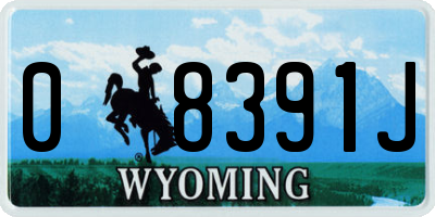 WY license plate 08391J