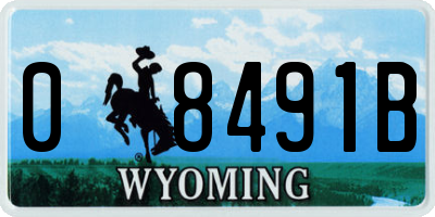 WY license plate 08491B