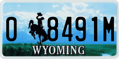 WY license plate 08491M