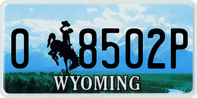 WY license plate 08502P