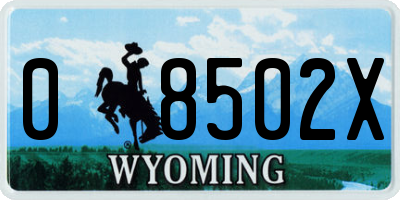 WY license plate 08502X