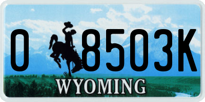 WY license plate 08503K