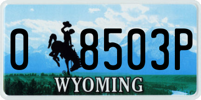 WY license plate 08503P