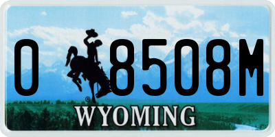 WY license plate 08508M