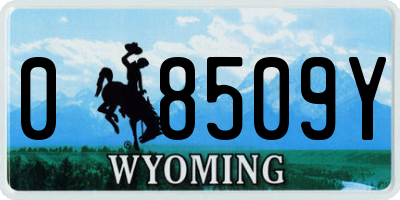 WY license plate 08509Y