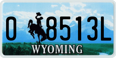 WY license plate 08513L