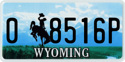 WY license plate 08516P