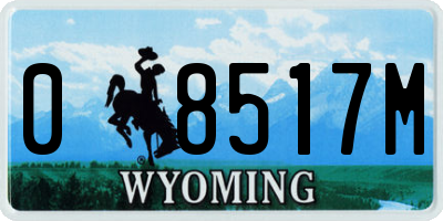 WY license plate 08517M