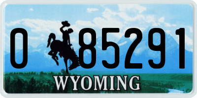 WY license plate 085291
