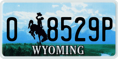 WY license plate 08529P