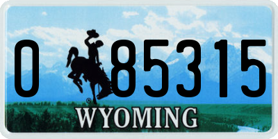 WY license plate 085315