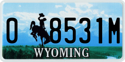WY license plate 08531M