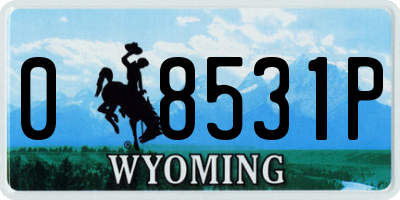 WY license plate 08531P