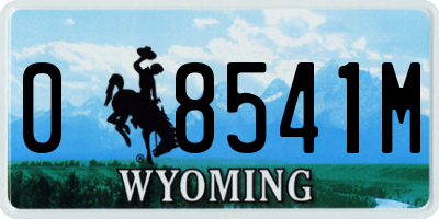WY license plate 08541M