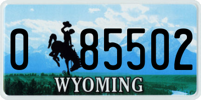 WY license plate 085502
