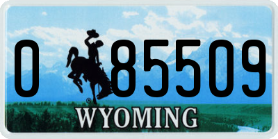 WY license plate 085509