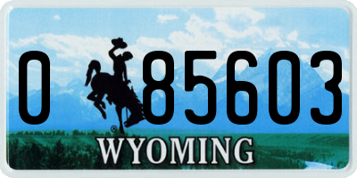 WY license plate 085603