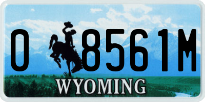 WY license plate 08561M