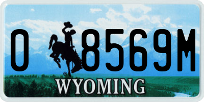 WY license plate 08569M