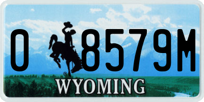 WY license plate 08579M