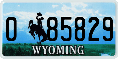 WY license plate 085829