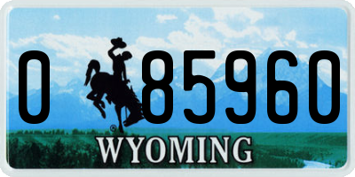 WY license plate 085960
