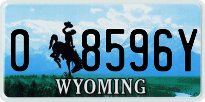 WY license plate 08596Y