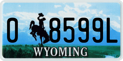 WY license plate 08599L