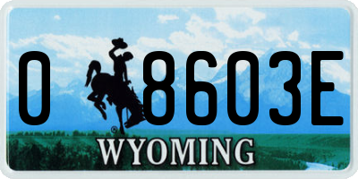 WY license plate 08603E
