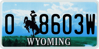 WY license plate 08603W