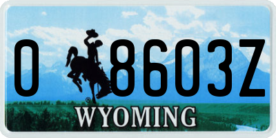 WY license plate 08603Z