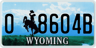 WY license plate 08604B