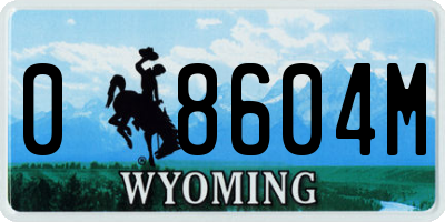 WY license plate 08604M