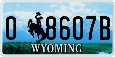WY license plate 08607B