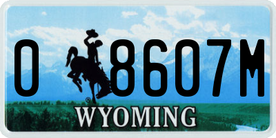 WY license plate 08607M