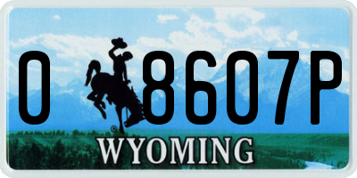 WY license plate 08607P
