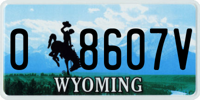 WY license plate 08607V