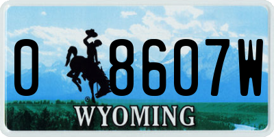 WY license plate 08607W