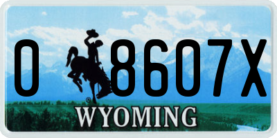 WY license plate 08607X