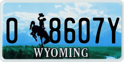 WY license plate 08607Y