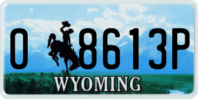 WY license plate 08613P
