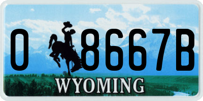 WY license plate 08667B