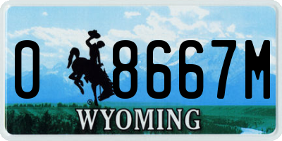 WY license plate 08667M
